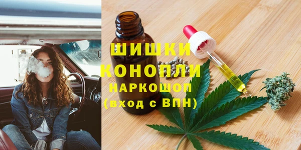 тгк Дмитровск