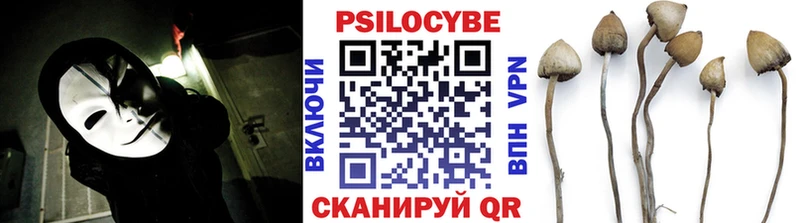 Купить Отрадное Псилоцибиновые грибы Psilocybe